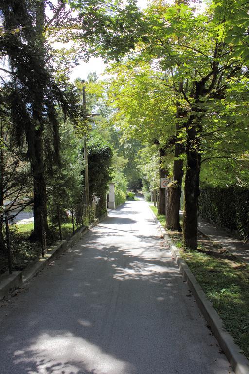 Apartment Villa Vltava Bled Dış mekan fotoğraf
